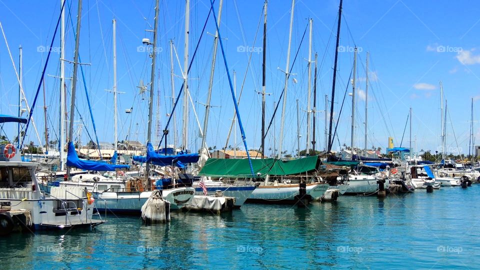 Sailboats at dock. Sailboat at dock in Hawaii