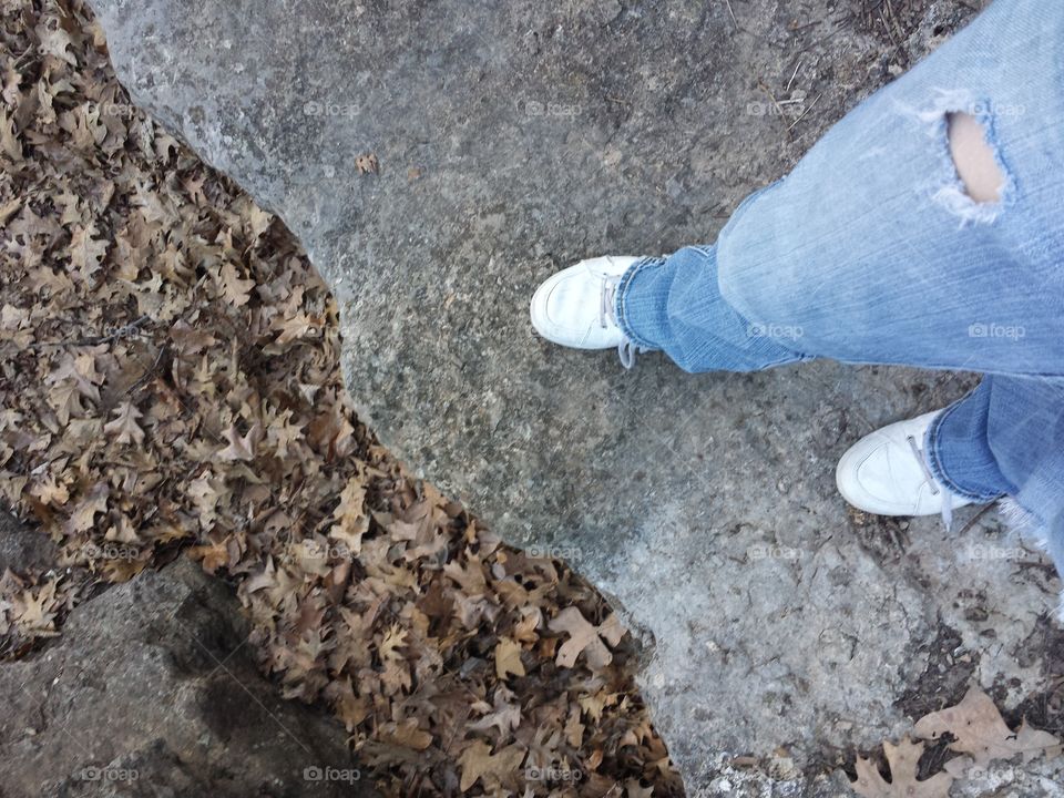 February Woodland Views