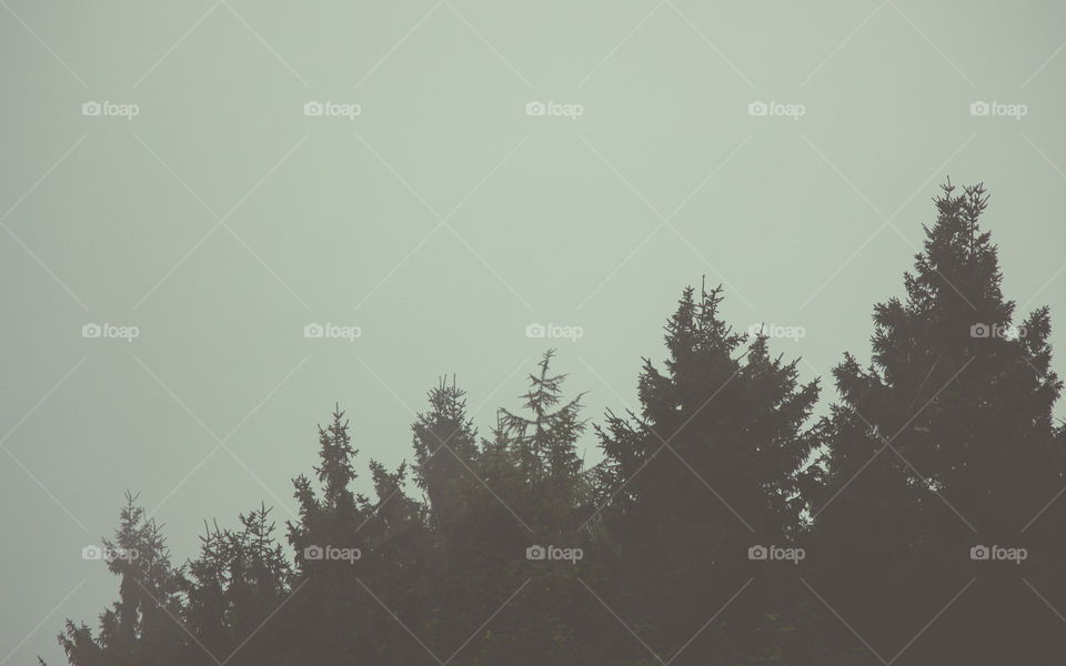 Feel the nature. Beautiful calm feelings