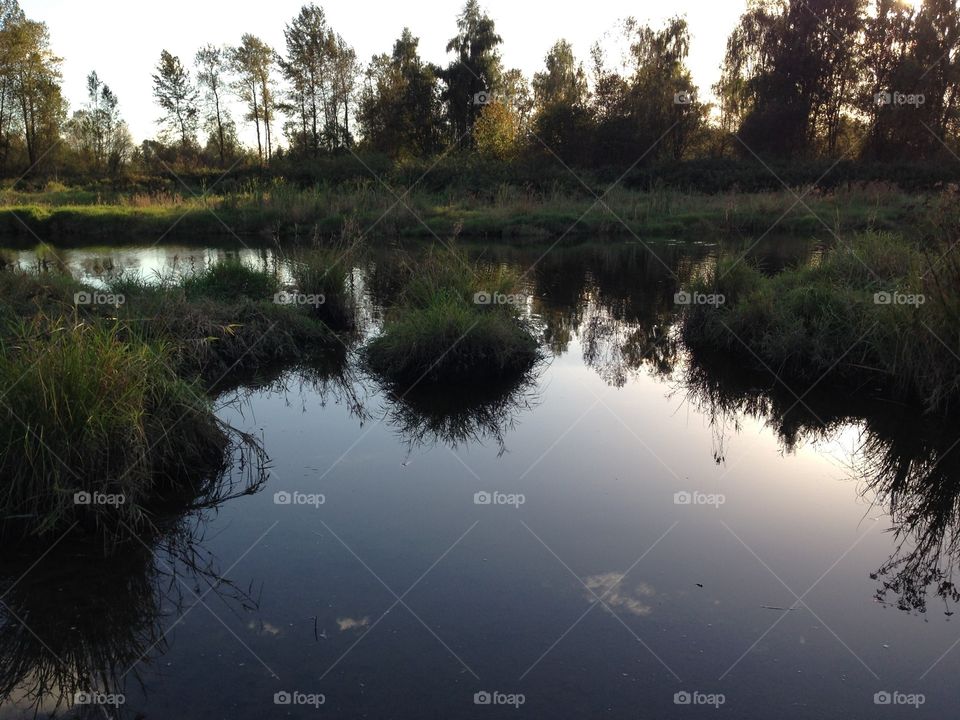 October at the Slough. Deboughville Slough, Port Coquitlam, BC