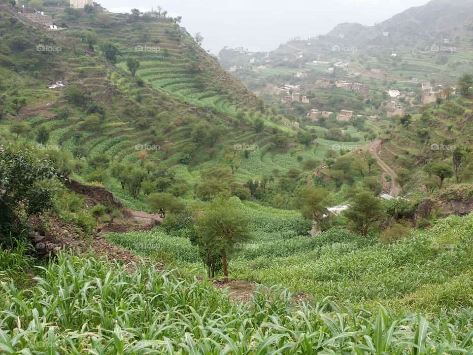 Glory be to God, the magnificent and picturesque view and the natural green trees are a view that is nothing more wonderful than it
