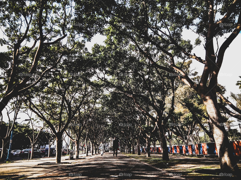 loving Nature is loving Life .
The World Is Us .