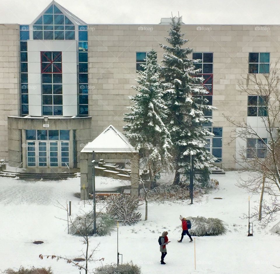 University in winter time 