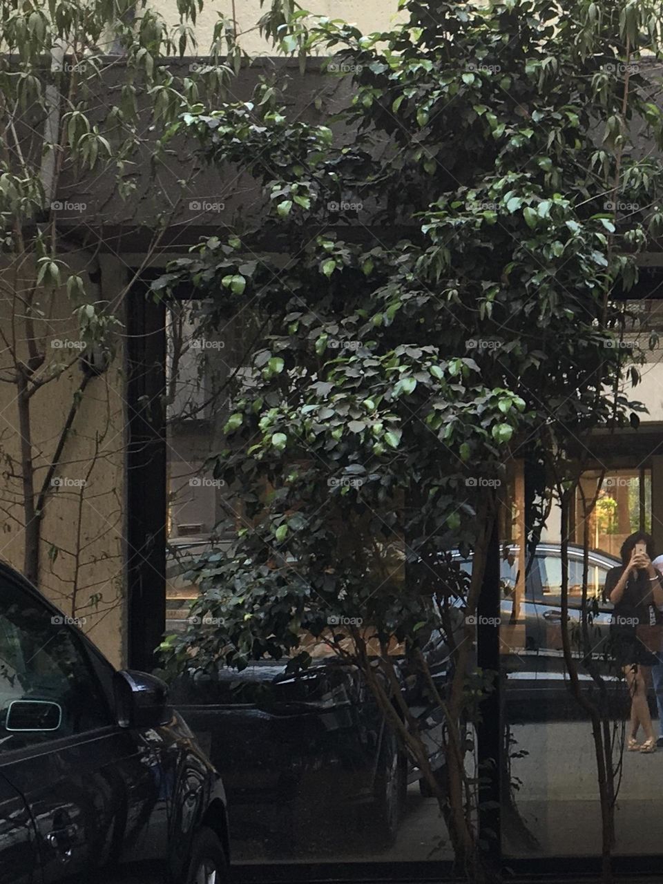 Three mirror selfie with nature 