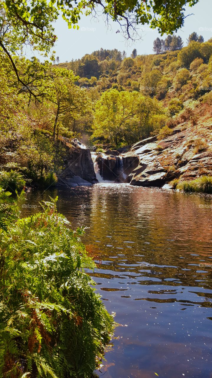 Scenic view of river