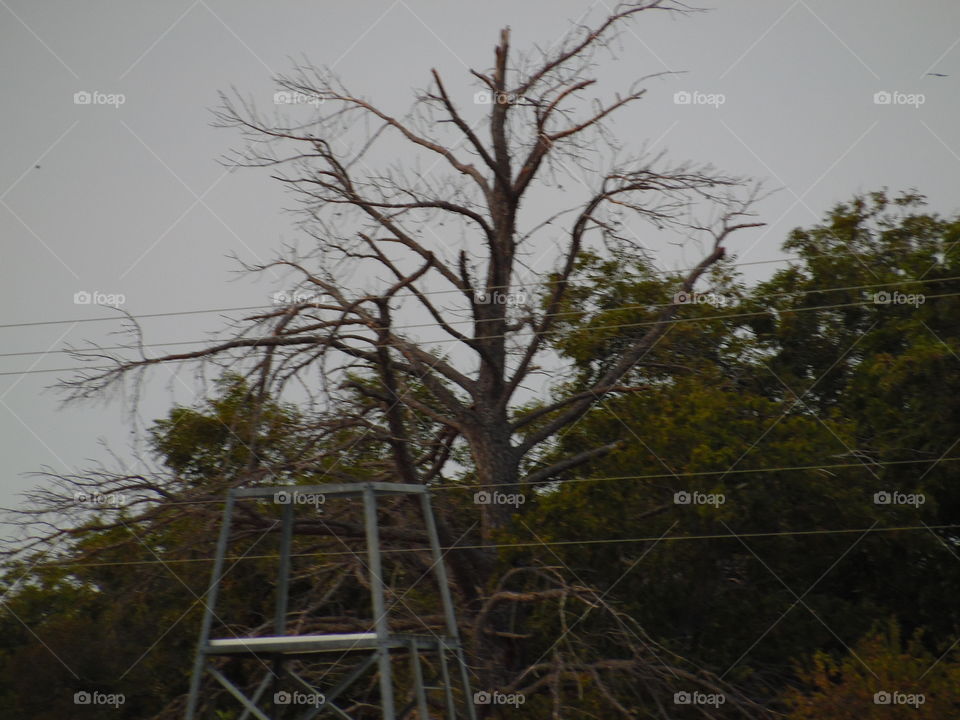 oops photo. This is a picture I took on accident. 👣 🚶 🏃 🔥 💨