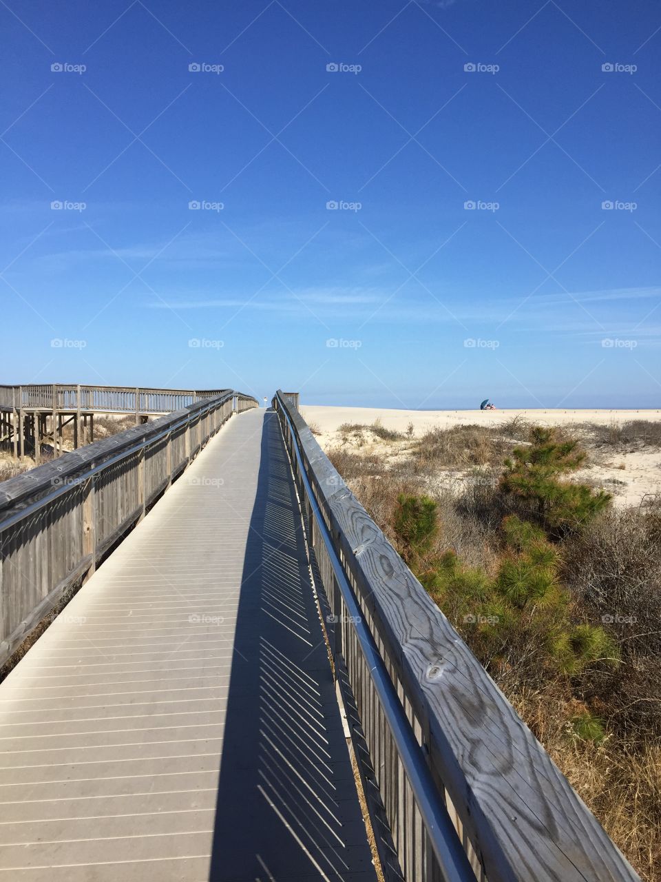 Day at the beach. Access ramp to beaches on assateague island national beach