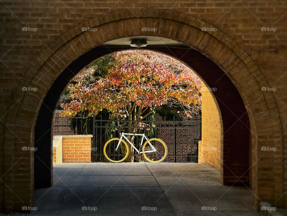 A bicycle with bright yellow wheels in a courtyard framed by a brick archway 