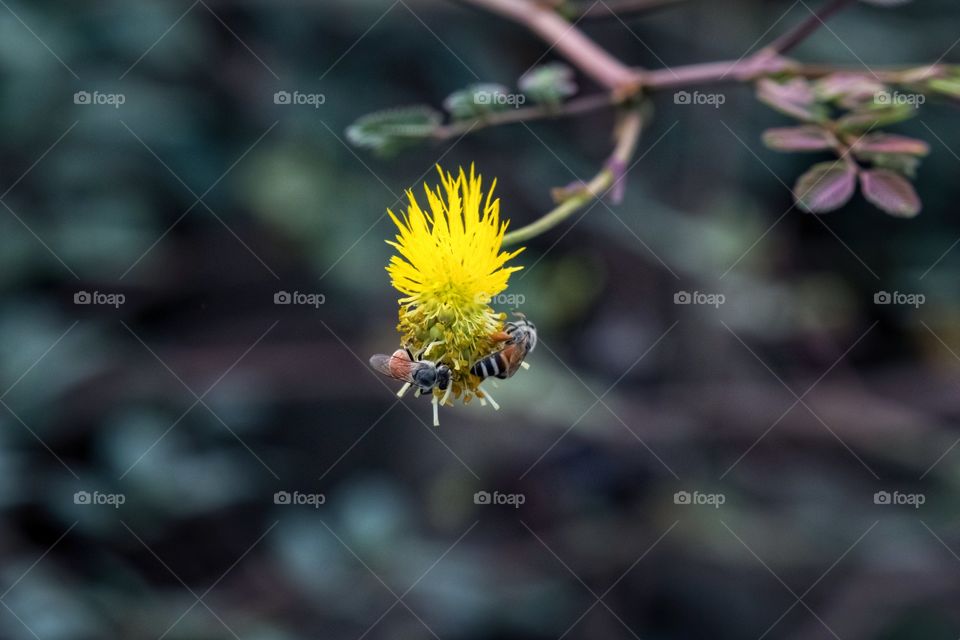 Plants are a food source for living things.