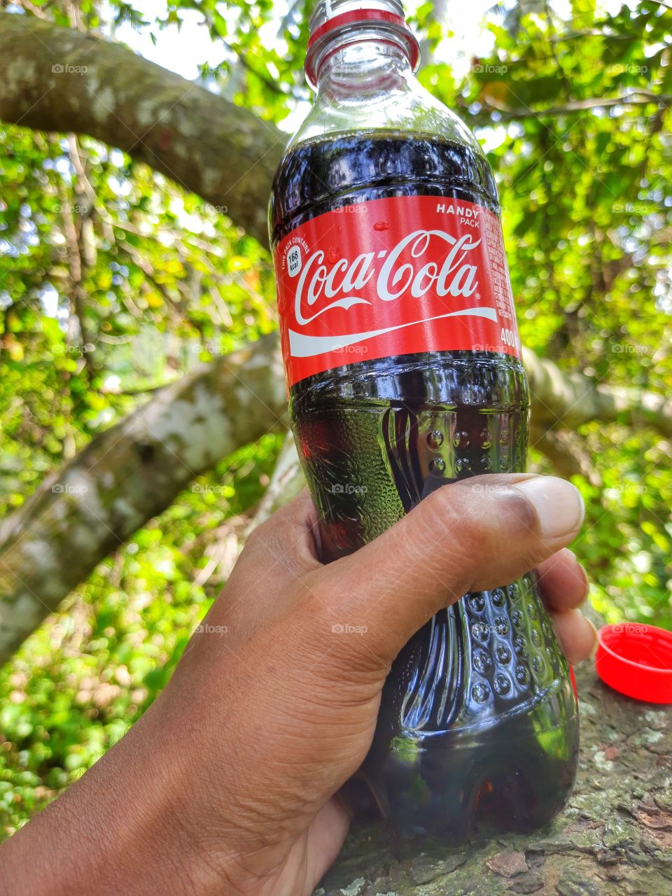 Beautiful Nature and Coca-Cola..