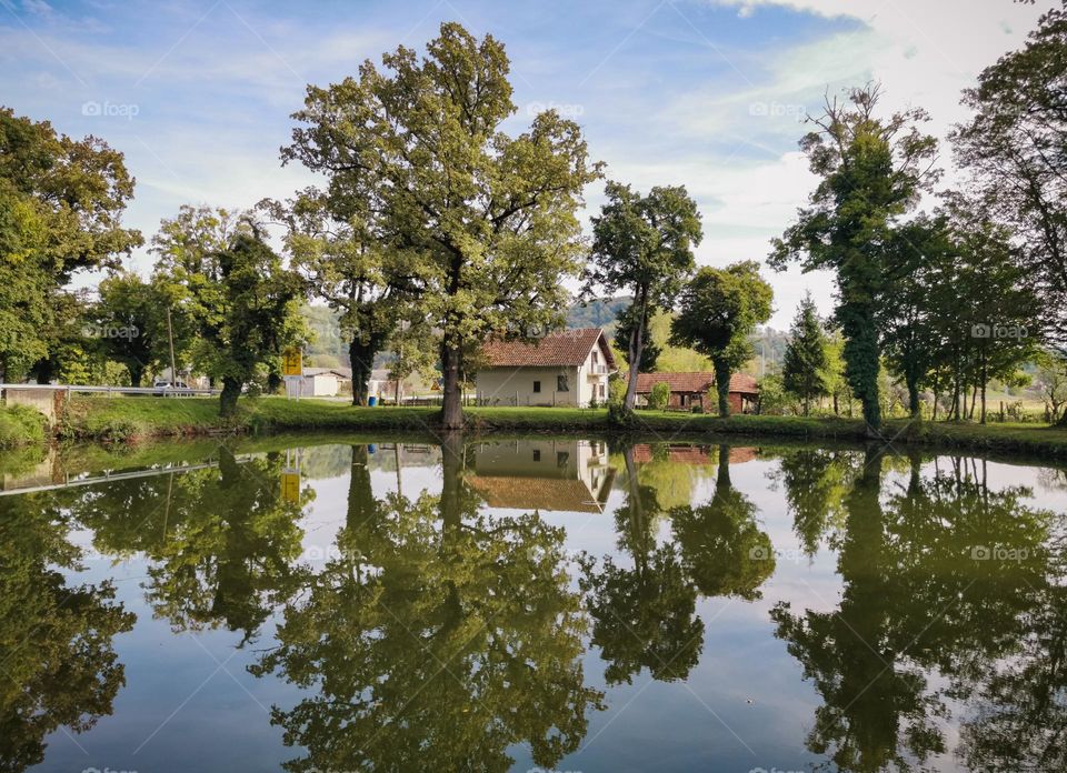 Trees reflected in small lake in Zacretje, county hrvatsko zagorje, croatia