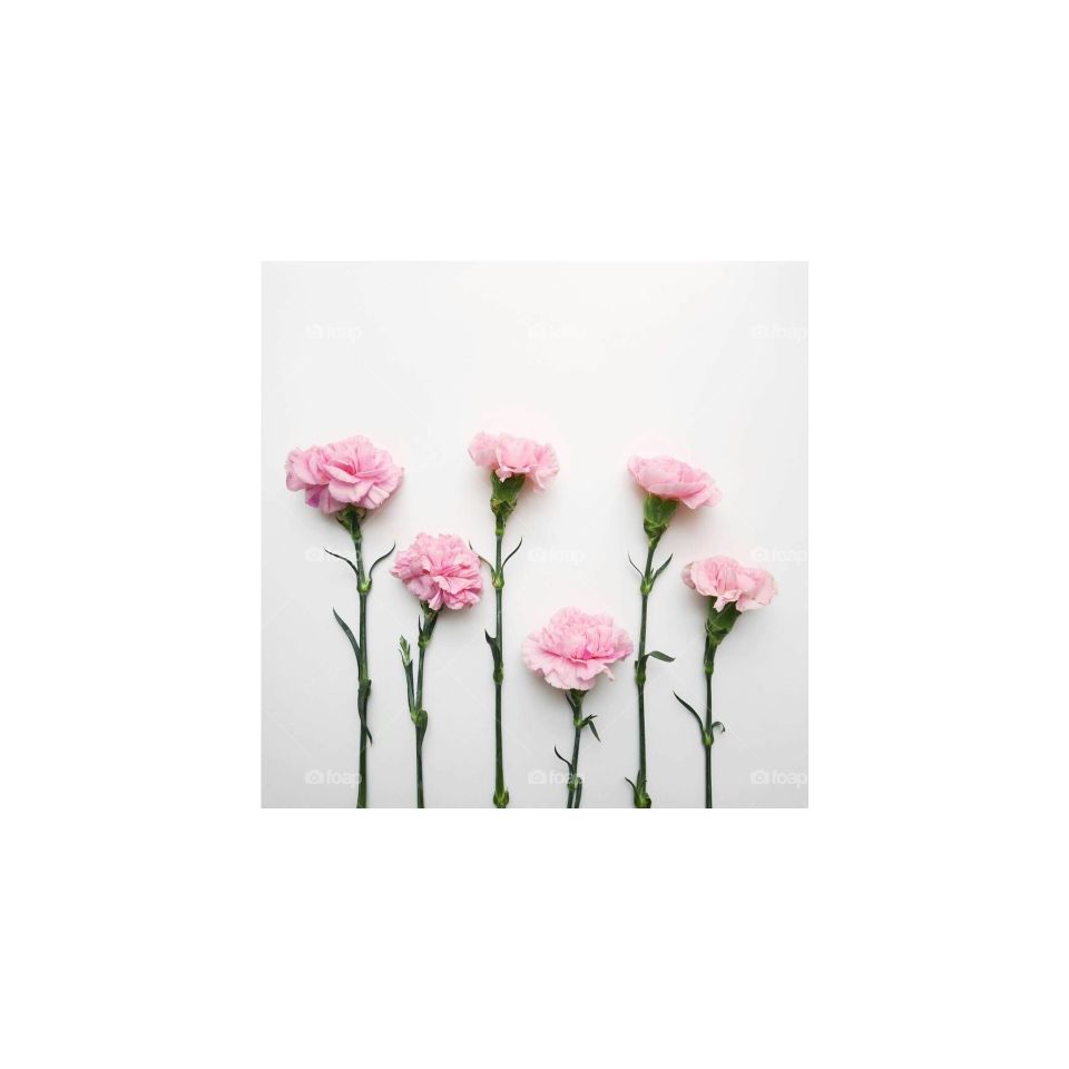 Flower Minimal