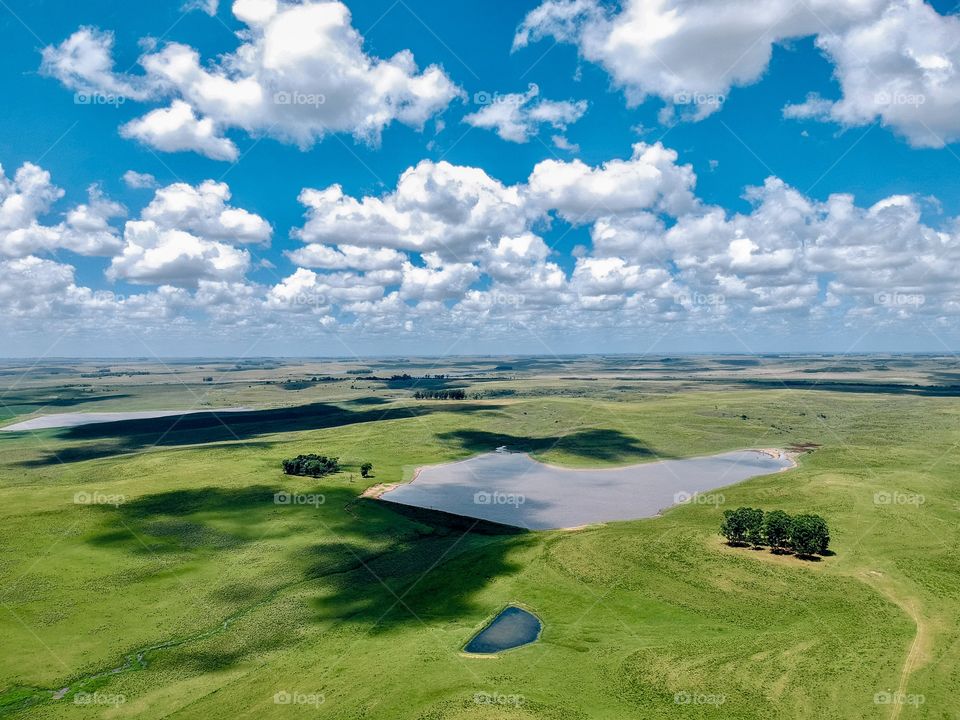 Landscape green fields