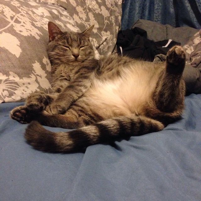 Rough life