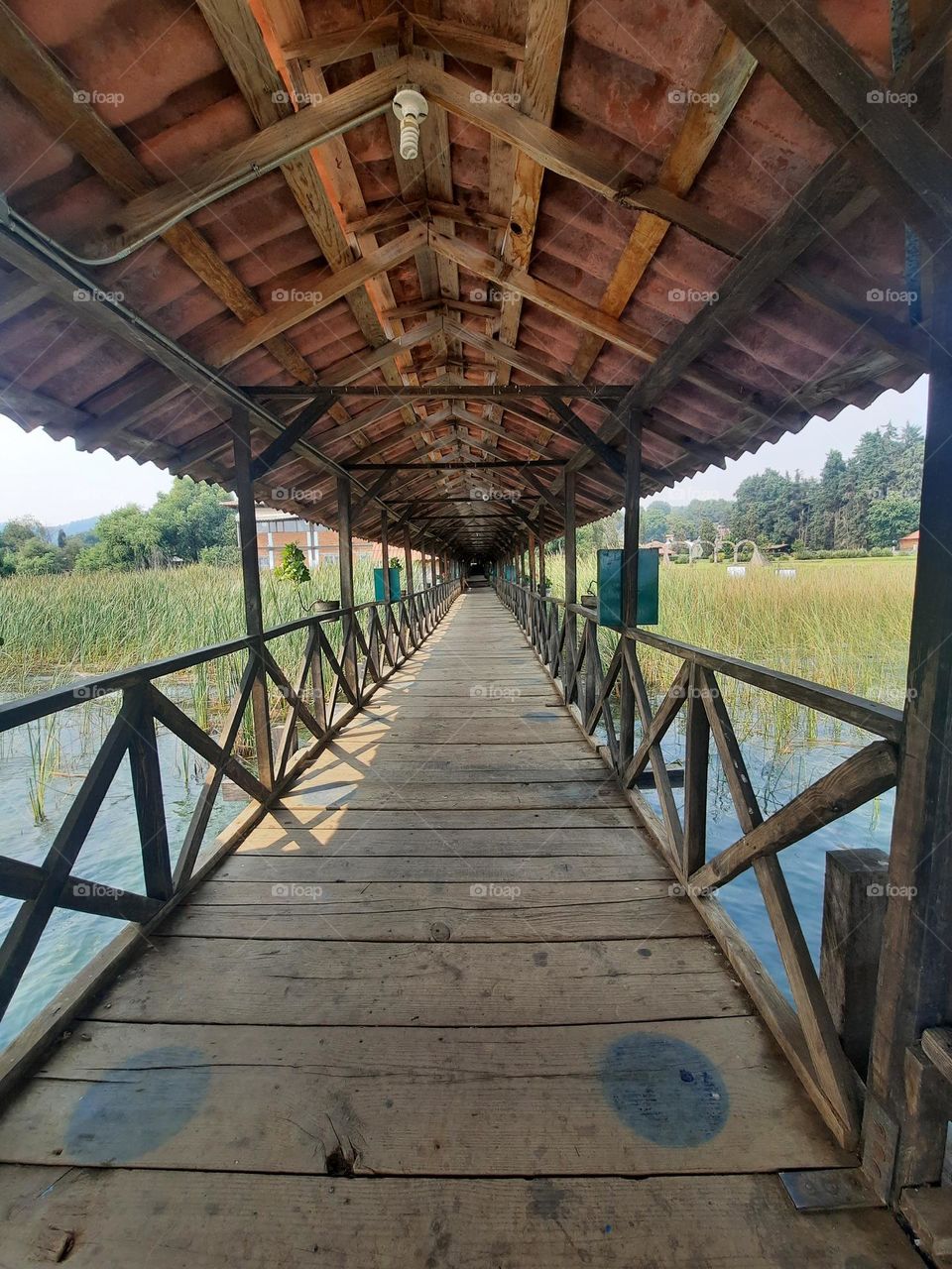 Bridge