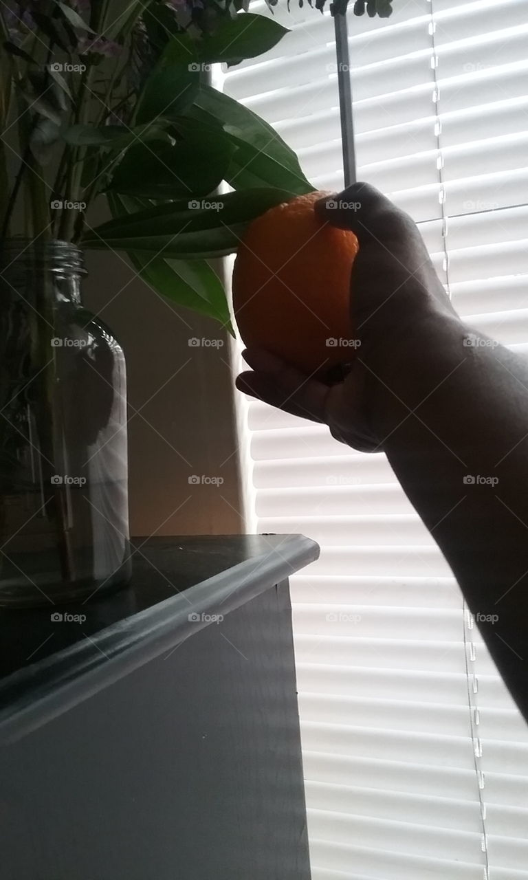 Catch a fallen orange.  Right for the picking .