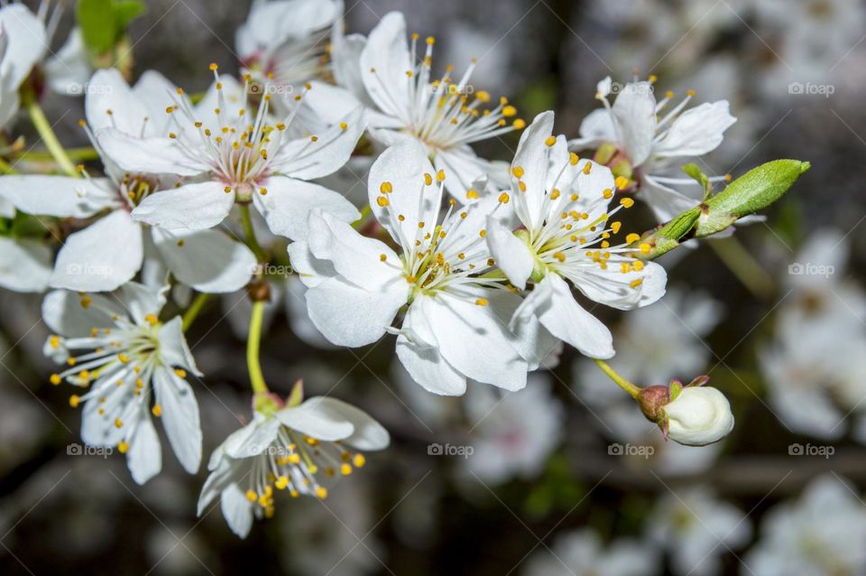 Spring colors.