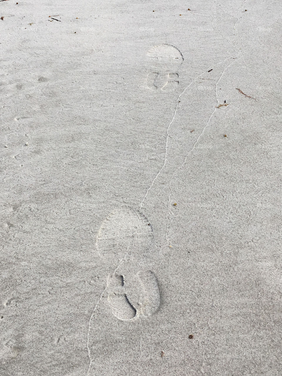 Footprints in the sand - an autumn walk at the beach was too cold to go barefoot. 