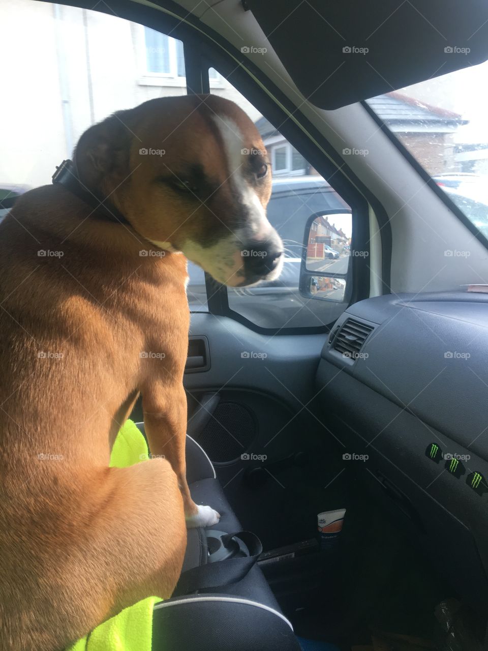 Man and he’s best friend