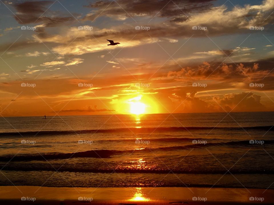 A stunning sunrise in Deerfield Beach, Florida and the seagull at the right timing. 