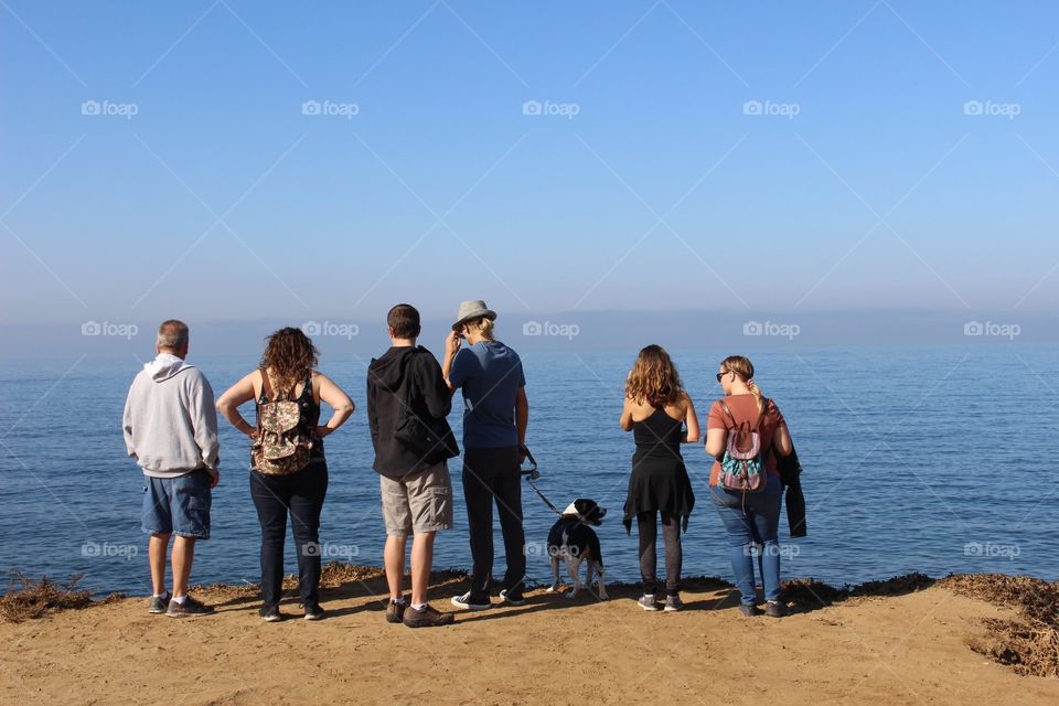 Looking at the ocean 