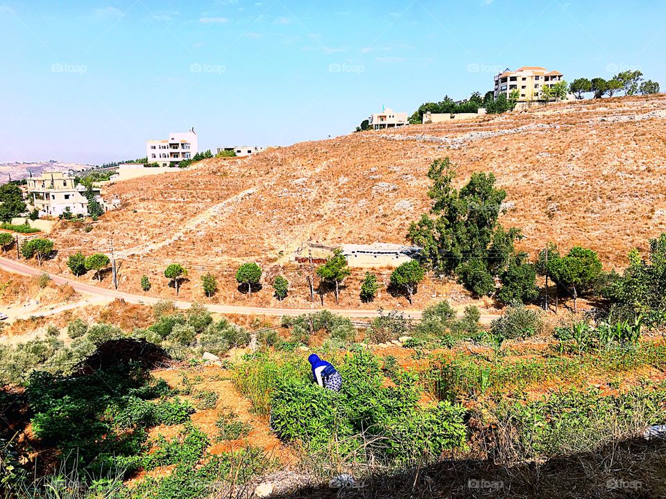 Mission .. I hope to like it 😅