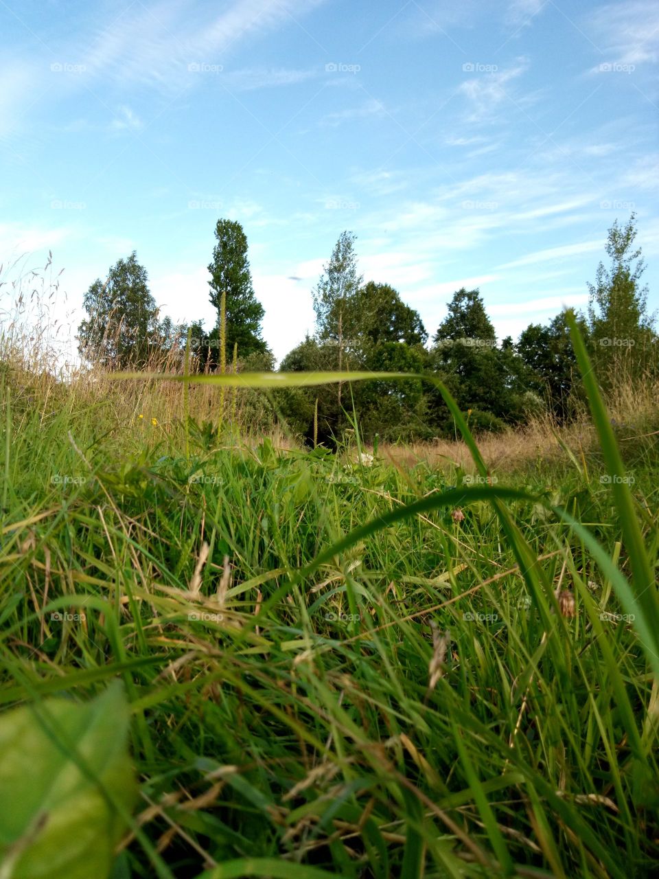 природа России