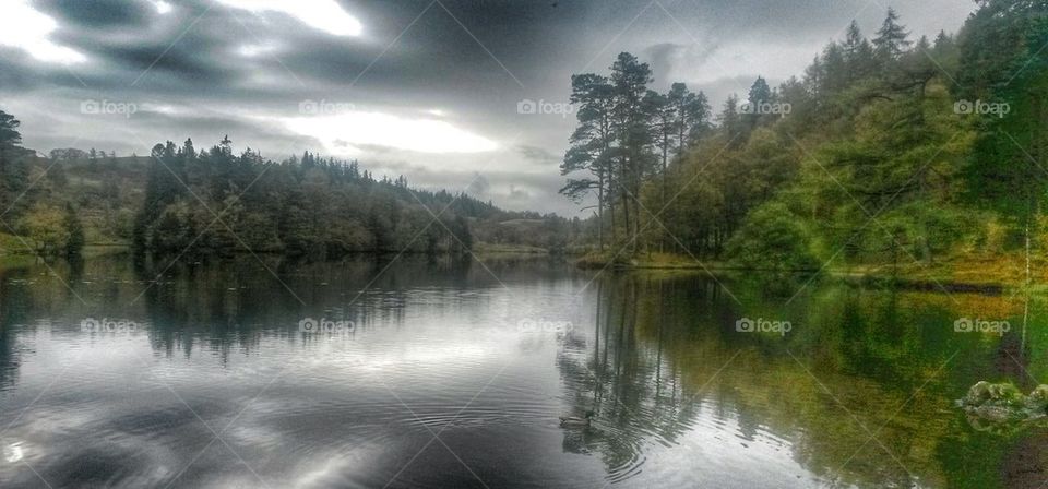 Reflected in the tarn