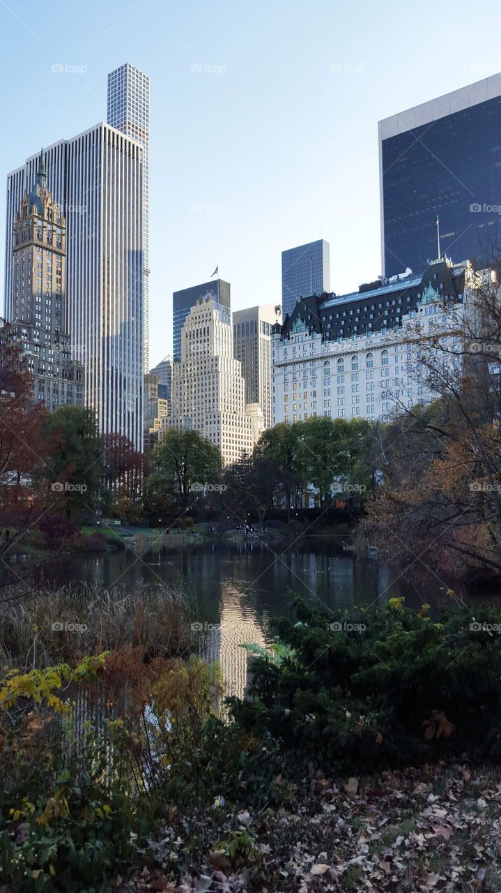 New York City - Central Park - pond and skyscrapers 