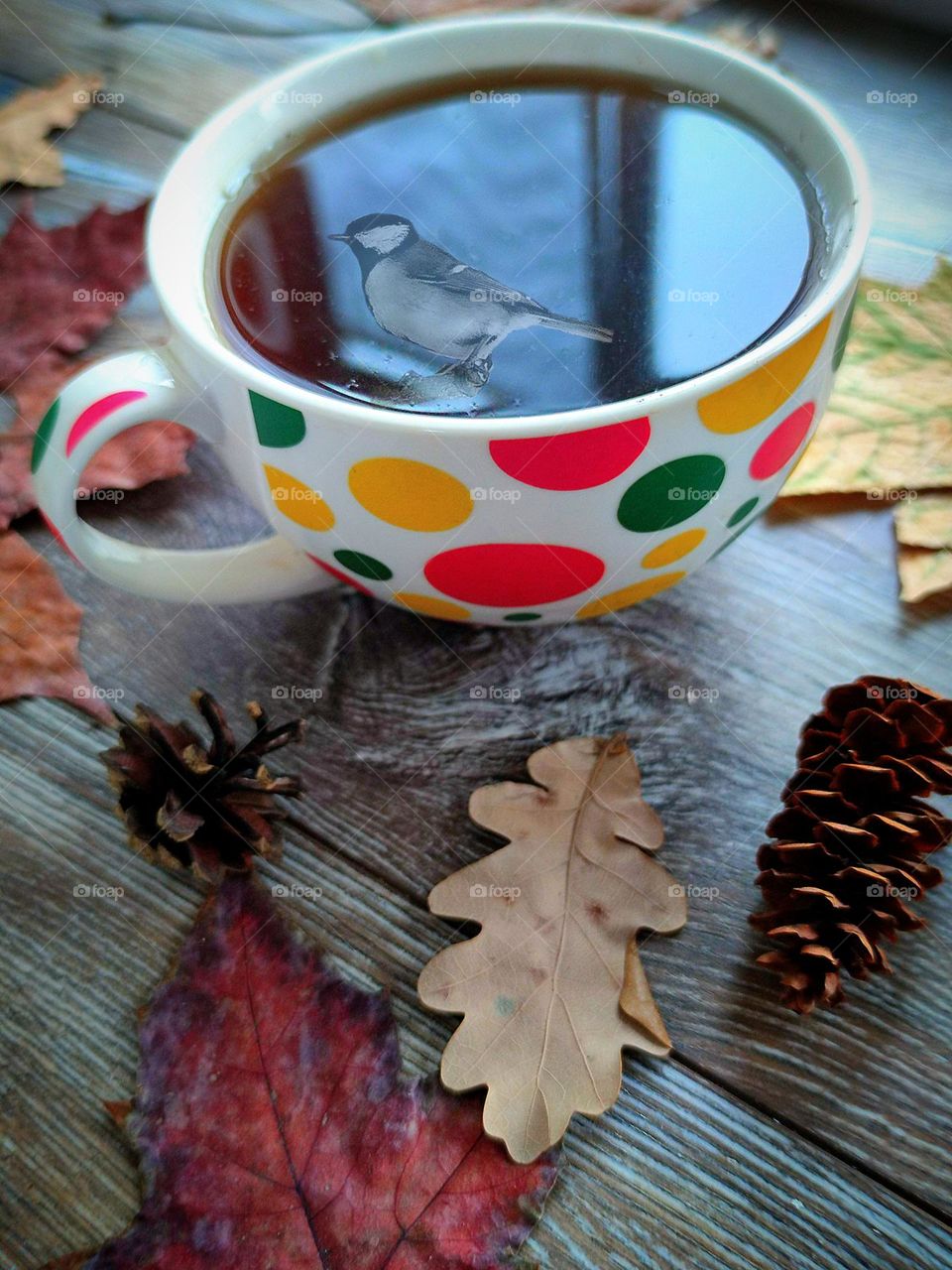 A cup with multi-colored  colorful polka dot with tea, which stands on a wooden window sill. Autumn leaves and cones are scattered around the cup. The silhouette of a bird is reflected in the tea. Colorful polka dot