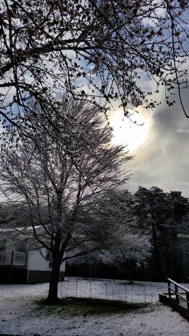 Sun peaking through clouds in winter