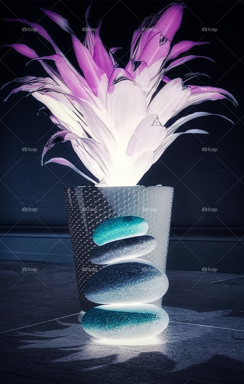 Pot plant with standing stones