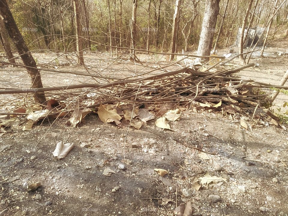 Vacay? Ready, steady, go!