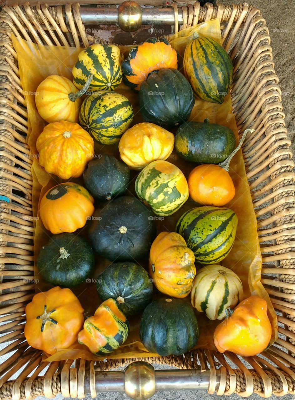 Gourds in a Basket in the Fall