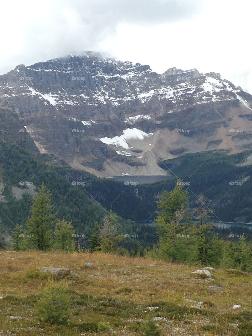 Hike at Healy pass, Alberta 