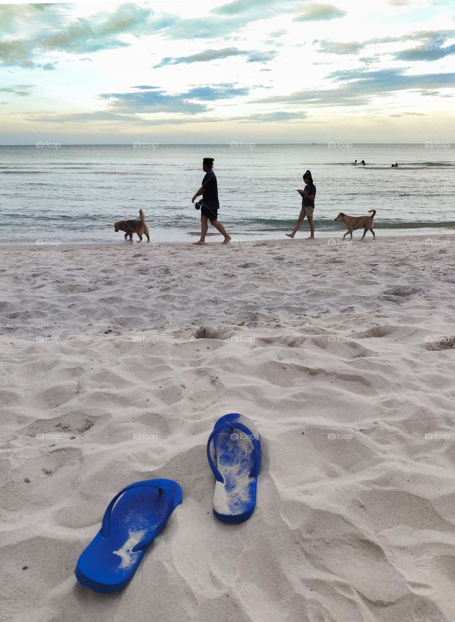 Vacation on the Beach with Pets
