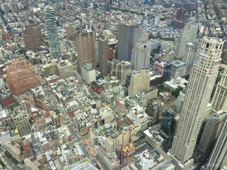 View from Freedom Tower