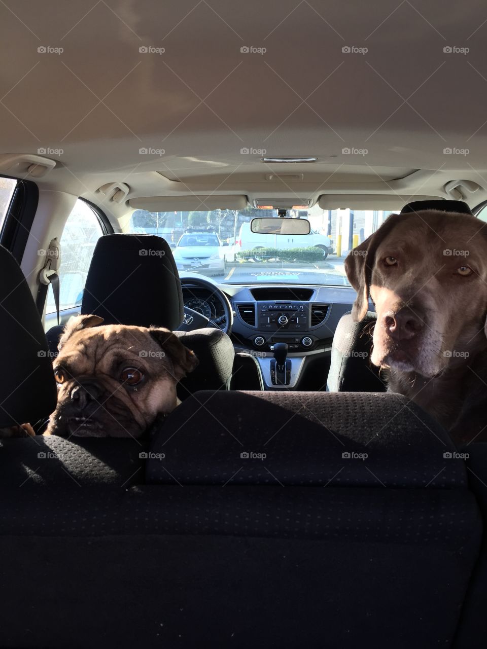 Are we there yet ?