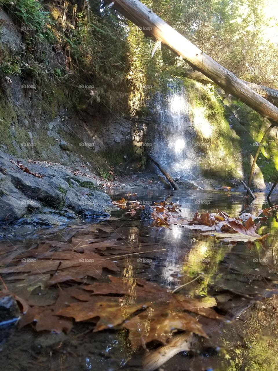 Cherry Creek falls