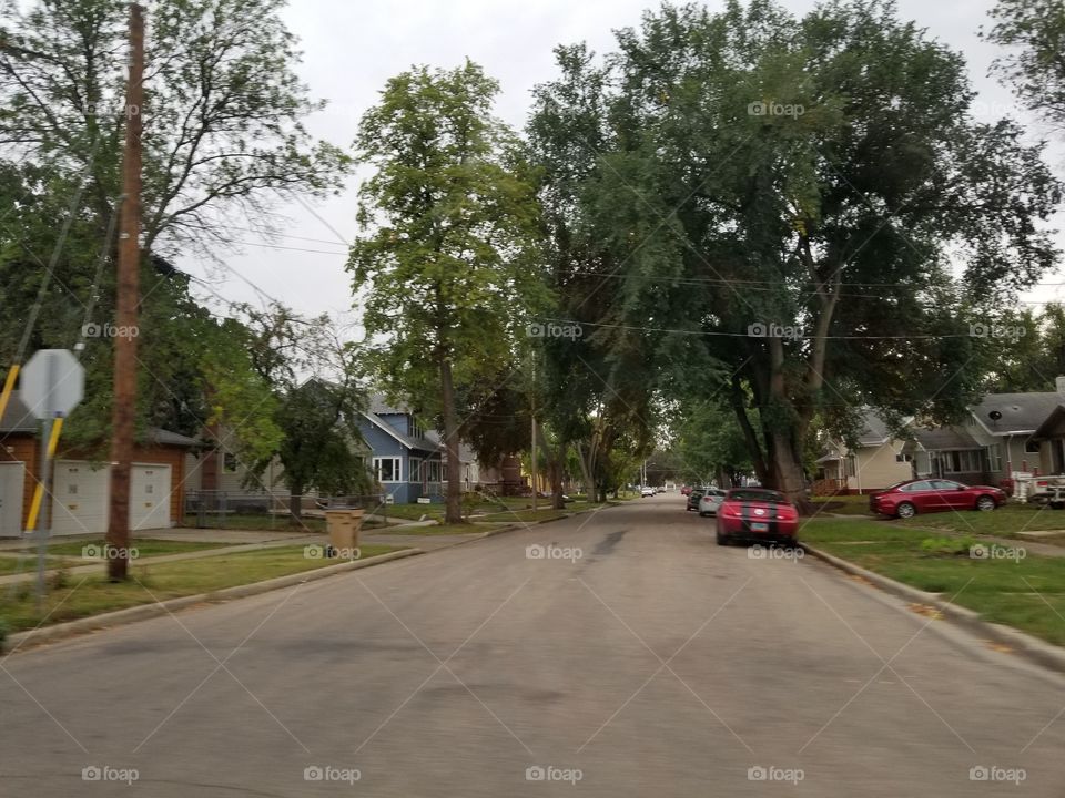Road, Tree, No Person, Street, Guidance