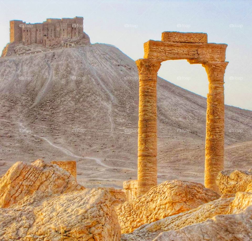 Old palmyra