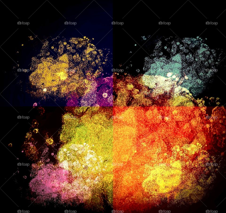 Your drain on bugs. FX