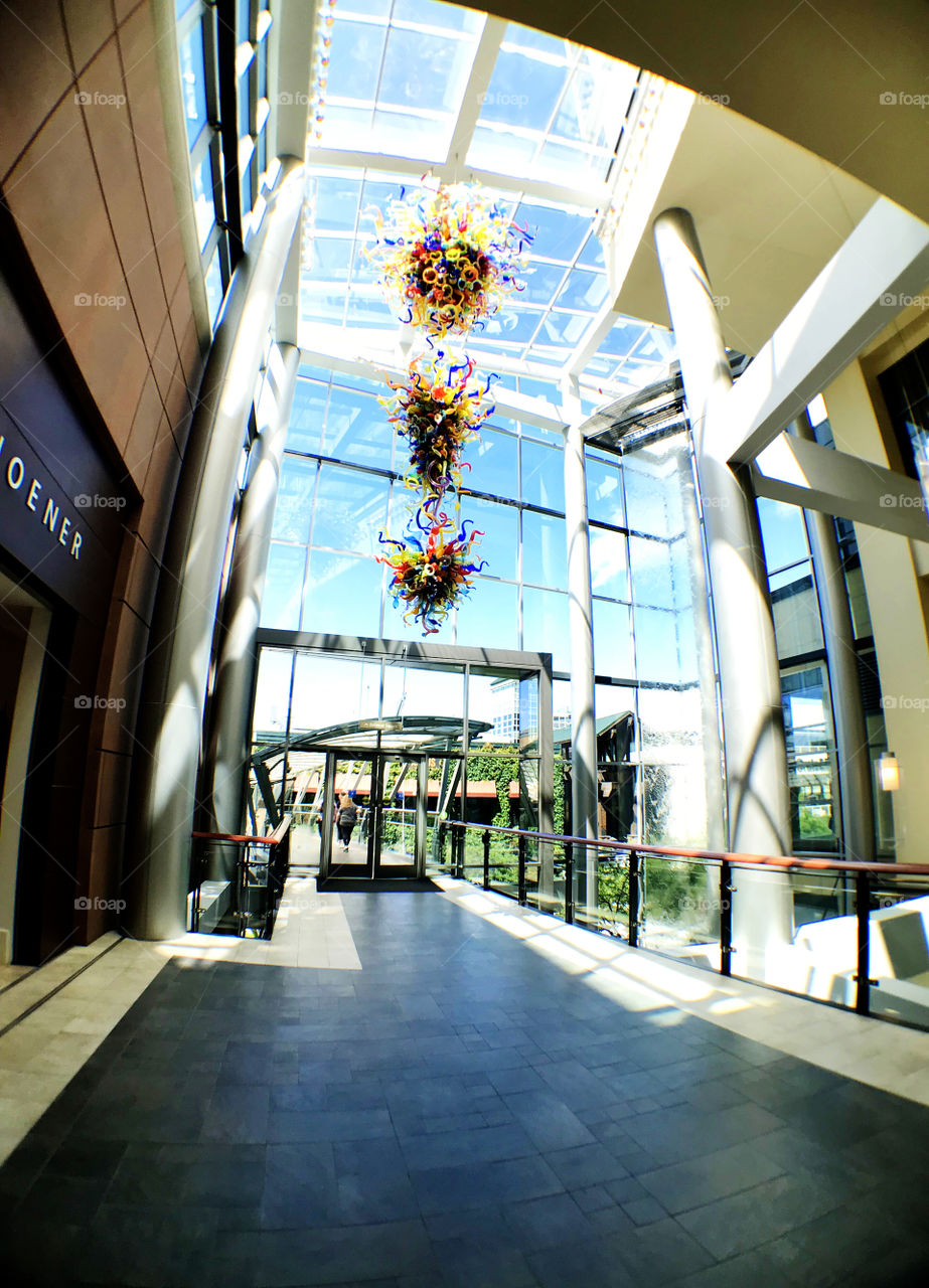 Ceiling feature with sunlight and high glazing wall in Thomasville building in North of Seattle. Lively life.