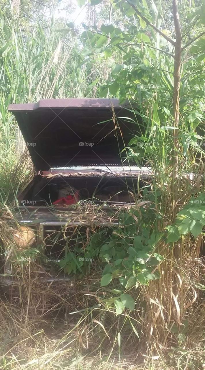 It has come back to life!Chevy with a 454!