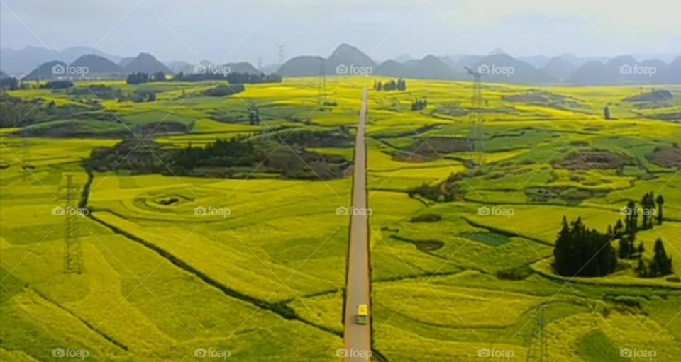 Calm and charming nature scenery from hill