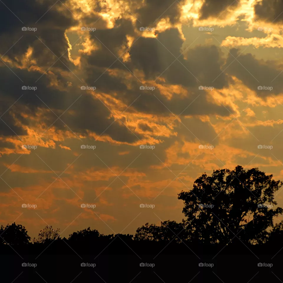 Electrified sky