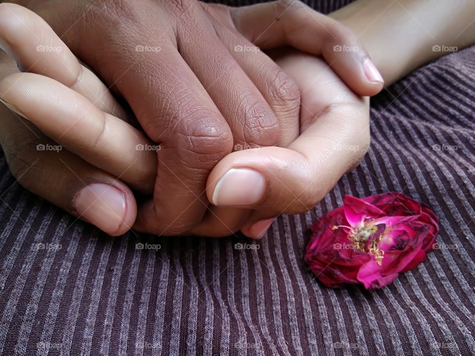 Close-up of hands near rose