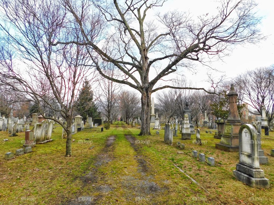 Grove Street Cemetery 