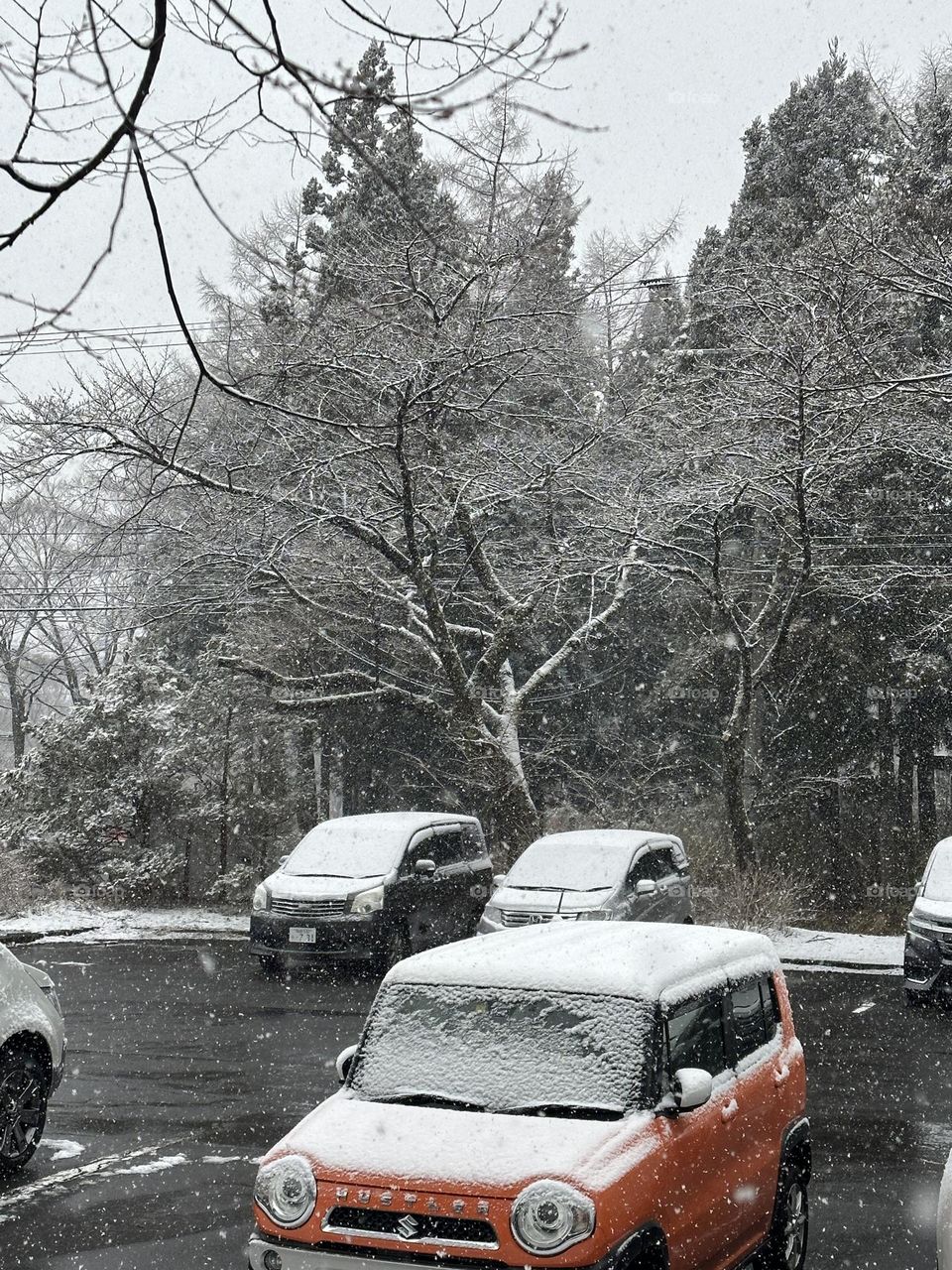 The first time I have seen snow in Japan.There is snow in the sky, even a thick covering of snow on the car made this scene full of romance.