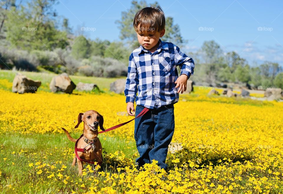 I’m here with buddy with beautiful yellow flowers.